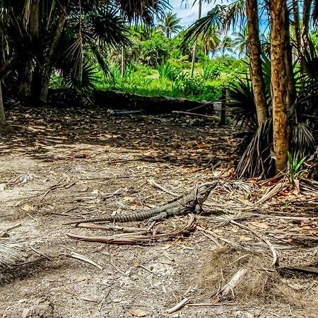 Aldea Zama Hotel Tulum Kültér fotó